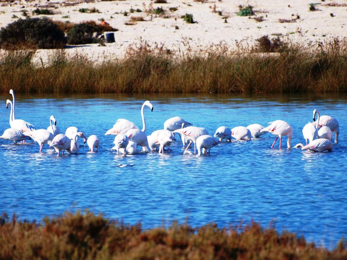 Pure Blue Διαμέρισμα Αθάνι Εξωτερικό φωτογραφία